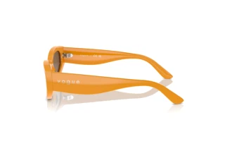 Side view Vogue Eyewear VO5585S (315973)