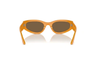Rear view Vogue Eyewear VO5585S (315973)