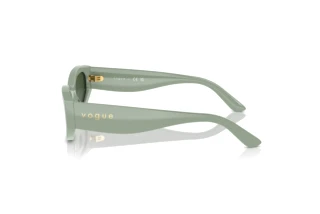 Side view Vogue Eyewear VO5585S (316171)