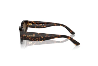 Side view Vogue Eyewear VO5585S (W65673)