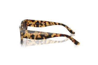 Side view Vogue Eyewear VO5586S (26058G)