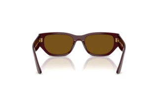 Rear view Vogue Eyewear VO5586S (328483)