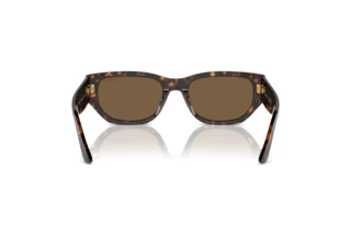 Rear view Vogue Eyewear VO5586S (W65673)