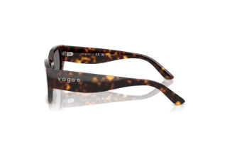 Side view Vogue Eyewear VO5586S (W65681)