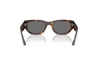 Rear view Vogue Eyewear VO5586S (W65681)