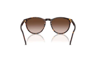 Rear view Vogue Eyewear VO5599S (W65613)