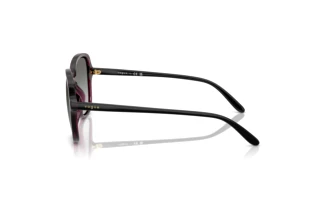 Side view Vogue Eyewear VO5601S (298911)