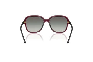 Rear view Vogue Eyewear VO5601S (298911)