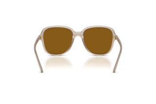 Rear view Vogue Eyewear VO5601S (299083)