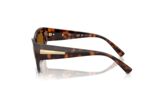 Side view Vogue Eyewear VO5607S (271883)