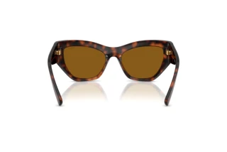 Rear view Vogue Eyewear VO5607S (271883)