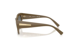Side view Vogue Eyewear VO5607S (317511)