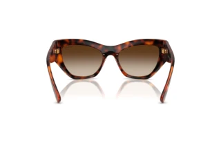 Rear view Vogue Eyewear VO5607S (W65613)