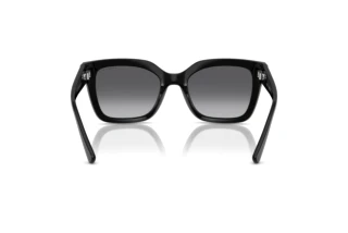 Rear view Vogue Eyewear VO5613SB (W44/T3)