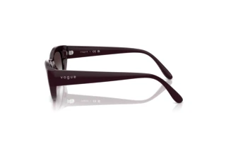Side view Vogue Eyewear VO5616S (24268G)