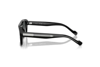 Side view Vogue Eyewear VO5620S (W44/T3)