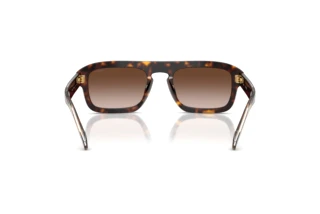 Rear view Vogue Eyewear VO5620S (W65613)