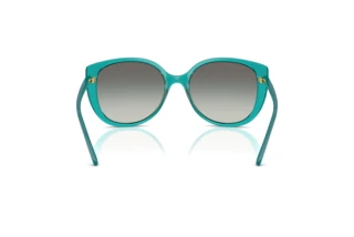 Rear view Vogue Eyewear VO5623S (319111)