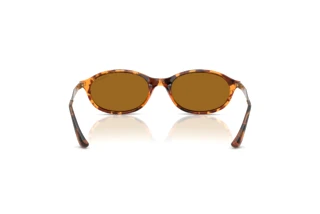Rear view Vogue Eyewear VO5625S (320083)