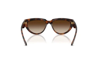 Rear view Vogue Eyewear VO5629S (271813)