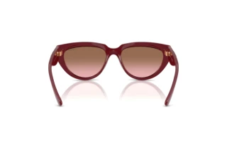 Rear view Vogue Eyewear VO5629S (304814)