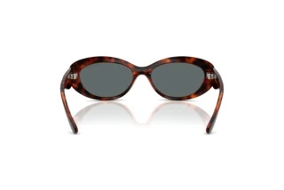 Rear view Vogue Eyewear VO5630S (W65681)