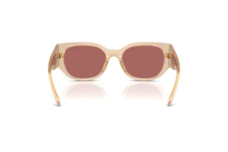 Rear view Vogue Eyewear VO5641SU (323469)