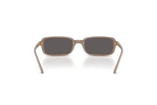 Rear view Vogue Eyewear VO5666S (326187)
