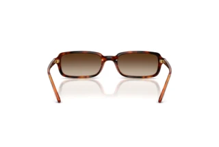 Rear view Vogue Eyewear VO5666S (W65613)