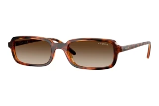 Front view Vogue Eyewear VO5666S (W65613)