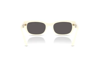 Rear view Vogue Eyewear VO5669S (316787)
