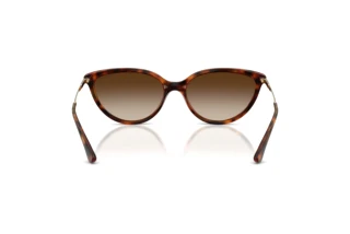 Rear view Vogue Eyewear VO5672S (W65613)