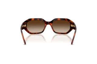 Rear view Vogue Eyewear VO5675S (W65613)