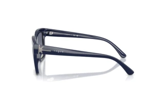 Side view Vogue Eyewear VO5690S (22884L)
