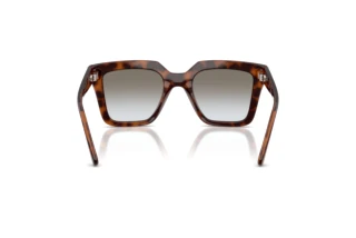 Rear view Vogue Eyewear VO5690S (23868G)