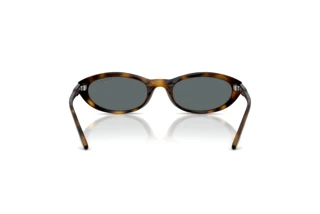 Rear view Vogue Eyewear VO5697SU (W65681)