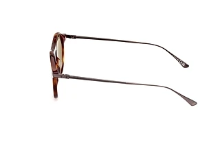 Side view Web Eyewear WE0346 (52N)