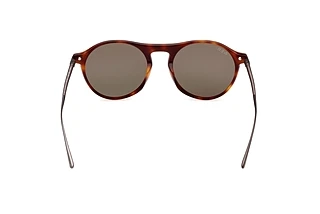 Rear view Web Eyewear WE0346 (52N)