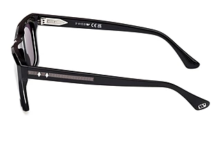 Side view Web Eyewear WE0350 (05A)