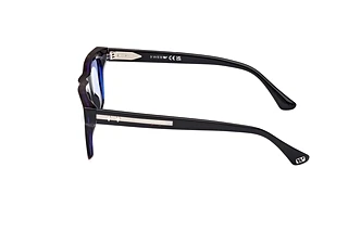 Side view Web Eyewear WE0362 (56V)