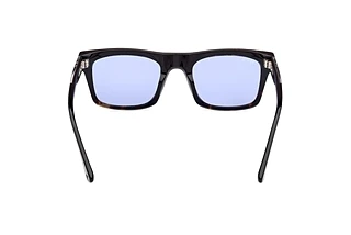 Rear view Web Eyewear WE0362 (56V)