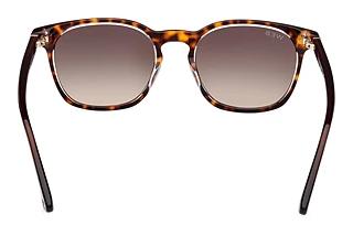 Rear view Web Eyewear WE0364 (56B)
