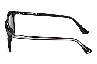 Side view Web Eyewear WE0365 (01D)