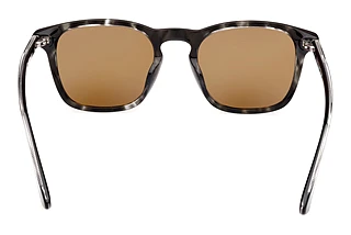 Rear view Web Eyewear WE0365 (05E)