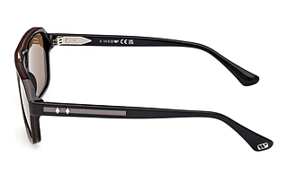 Side view Web Eyewear WE0376 (50E)