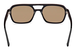 Rear view Web Eyewear WE0376 (50E)