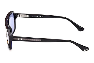 Side view Web Eyewear WE0376 (56V)
