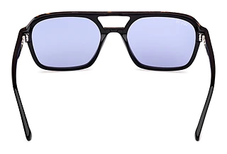 Rear view Web Eyewear WE0376 (56V)