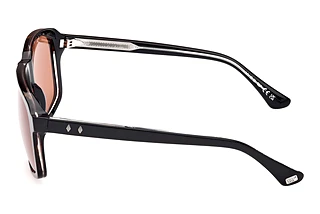 Side view Web Eyewear WE0378 (56J)