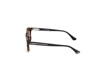 Side view Web Eyewear WE0384 (55N)